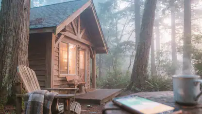 Airbnb: Transforming Travel with Authentic Local Adventures