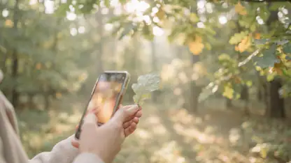 How PictureThis - Plant Identifier Transforms Nature Exploration