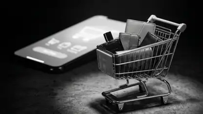 Temu: The Billionaire's Secret to Shopping Success