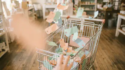 Comment Lidl Plus Réinvente le Shopping grâce à l'Intégration Stratégique des Applications